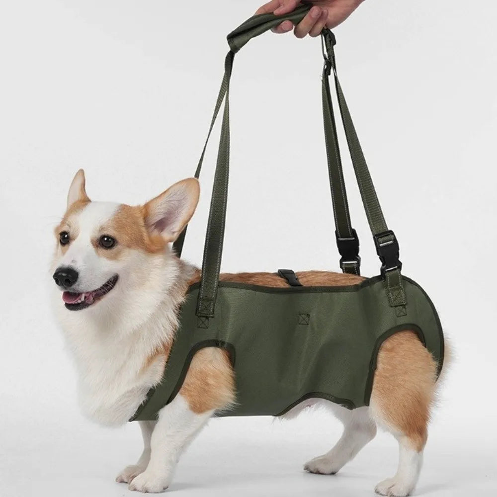 Adjustable pet auxiliary vest