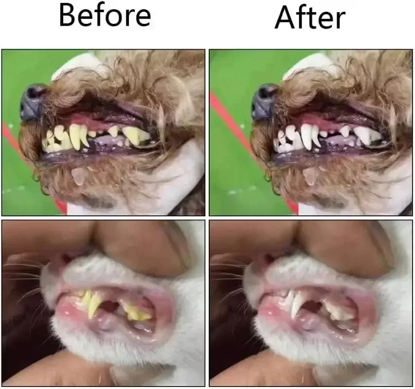 1/30pc tooth brush for pets