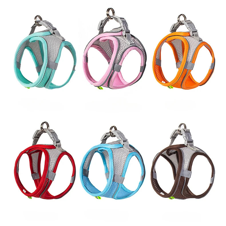 Dog harness with leash