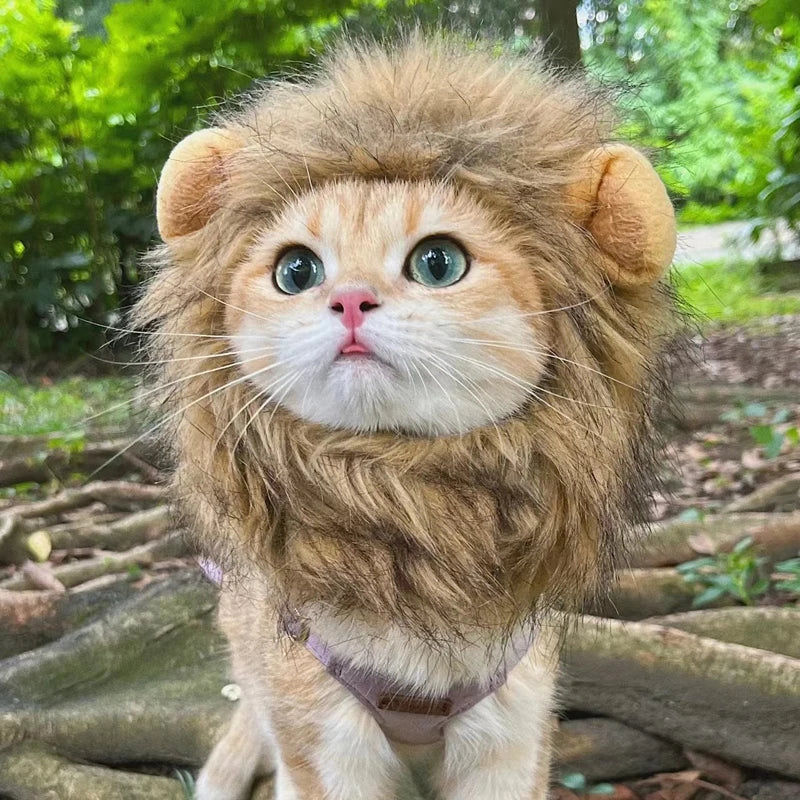 Cute lion mane cat wig