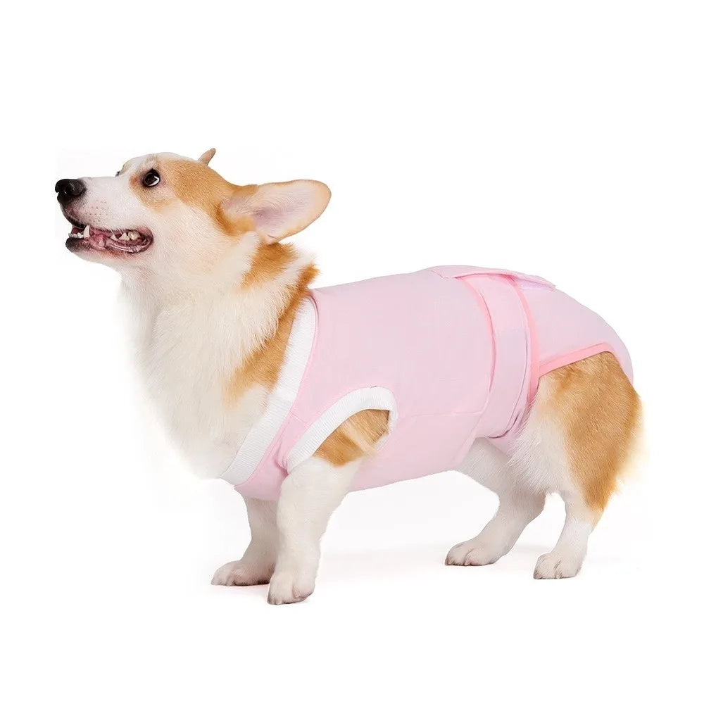 Adjustable dog sterilization suit