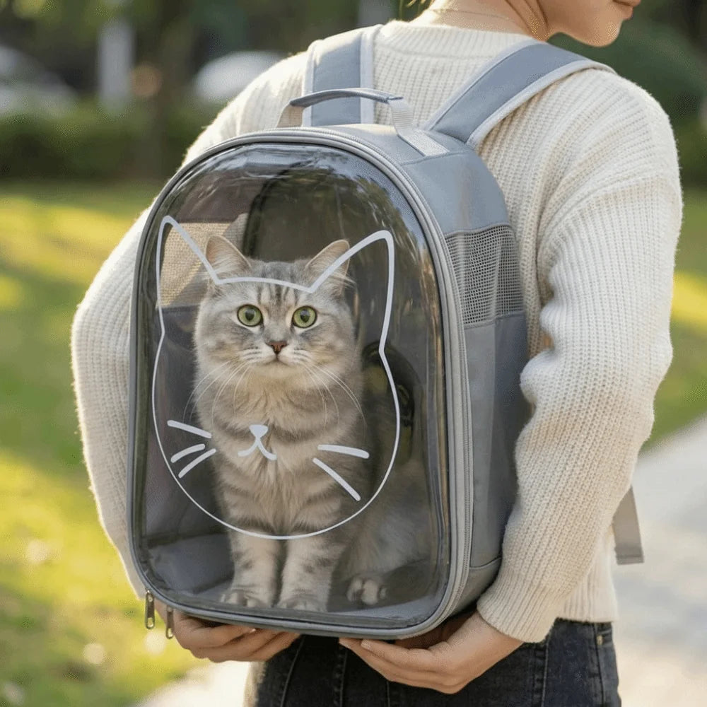 Transparent pet carrier backpack