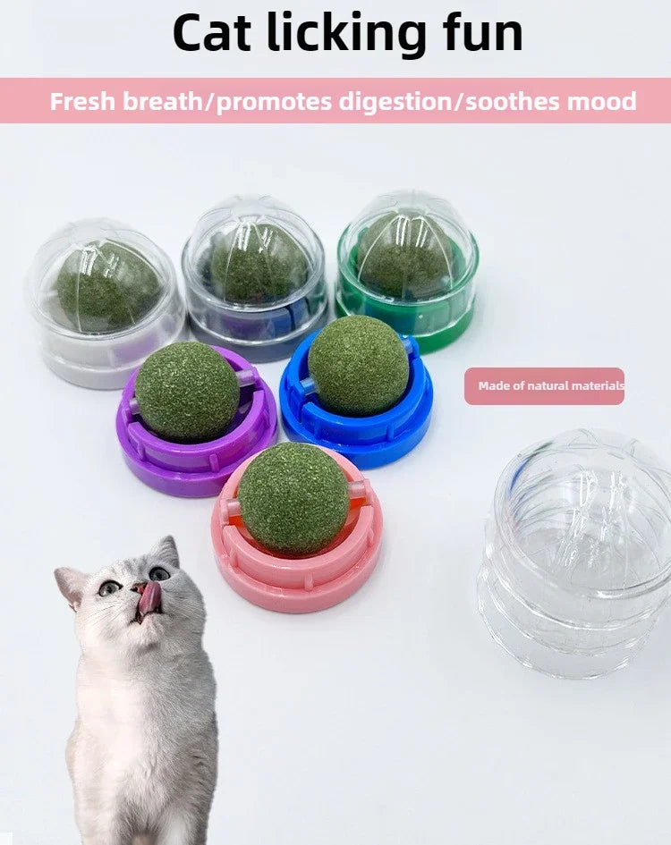 Natural catnip wall stick-on ball