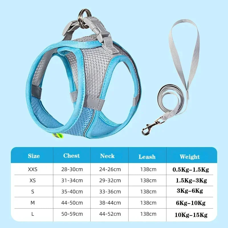 Dog harness with leash