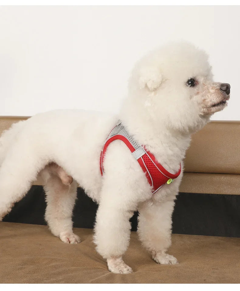 Dog harness with leash