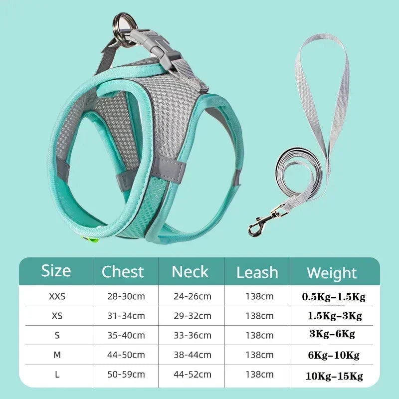 Dog harness with leash