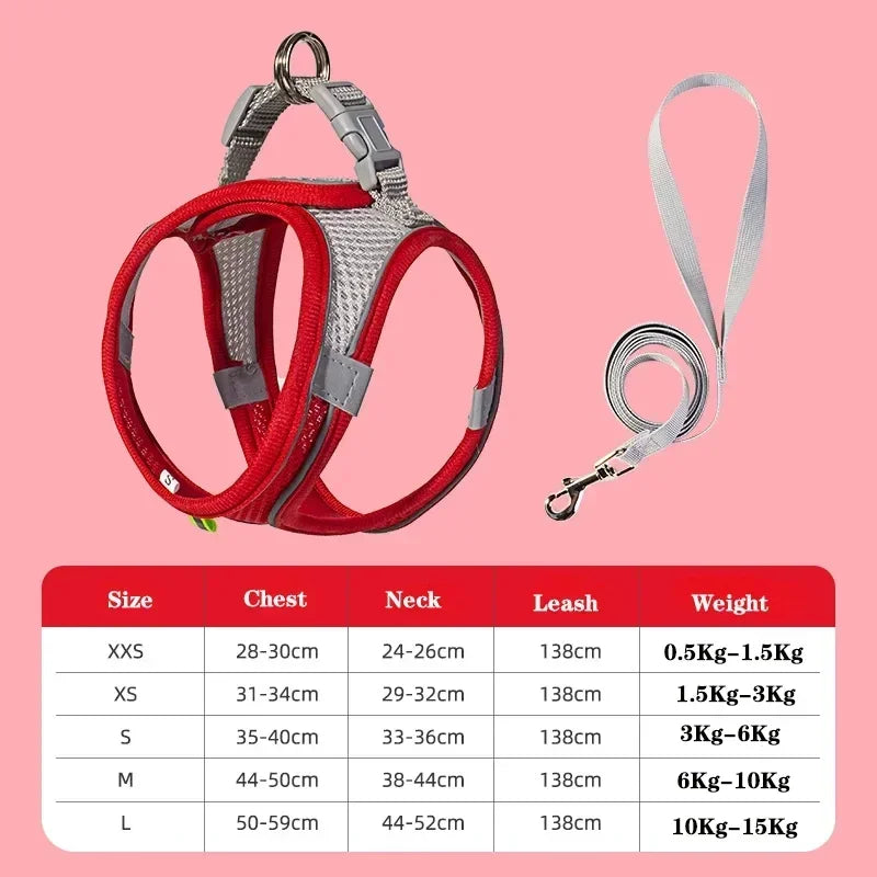 Dog harness with leash