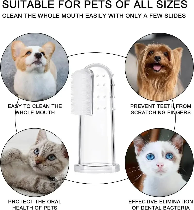 1/30pc tooth brush for pets