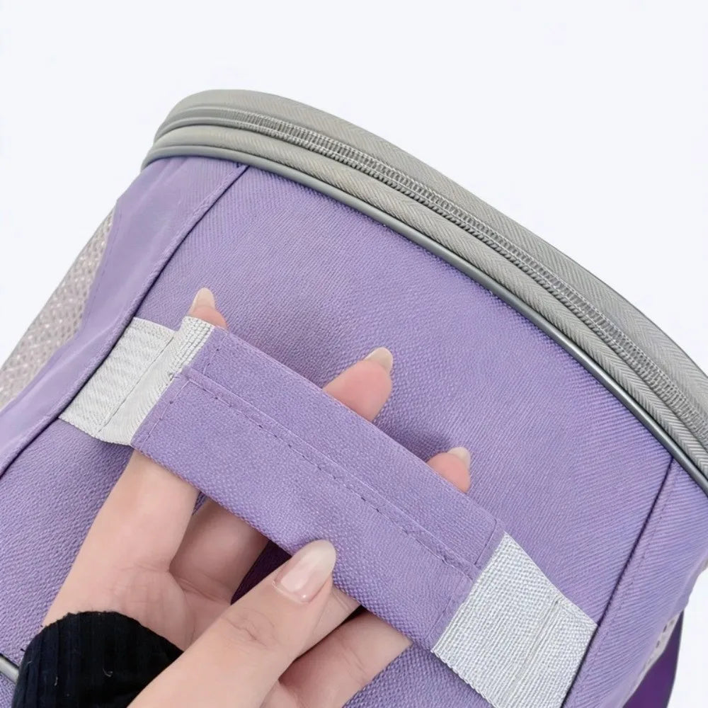 Transparent pet carrier backpack