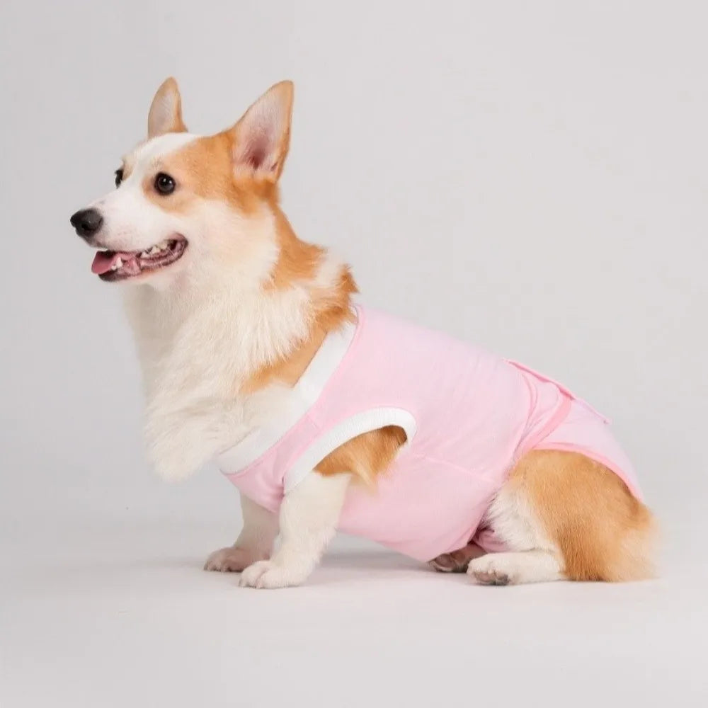 Adjustable dog sterilization suit