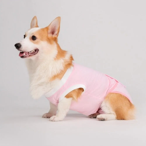 Adjustable dog sterilization suit