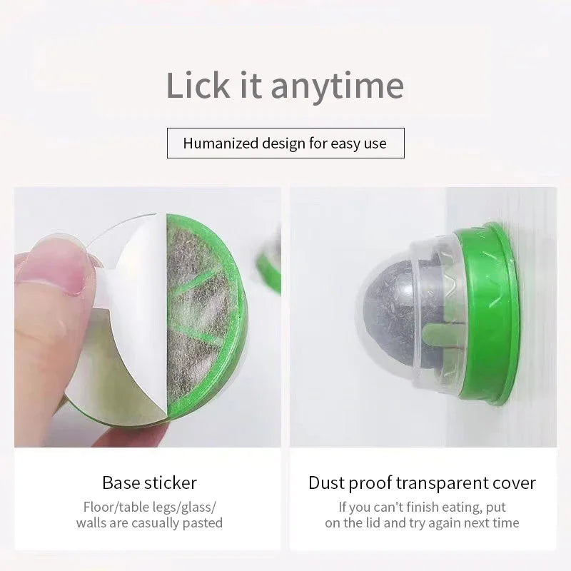 Natürlicher Katzenminze Wandball – Snack & Spielzeug