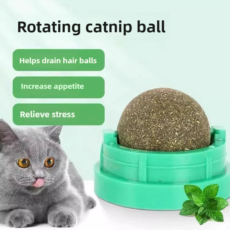 Natural catnip wall stick-on ball