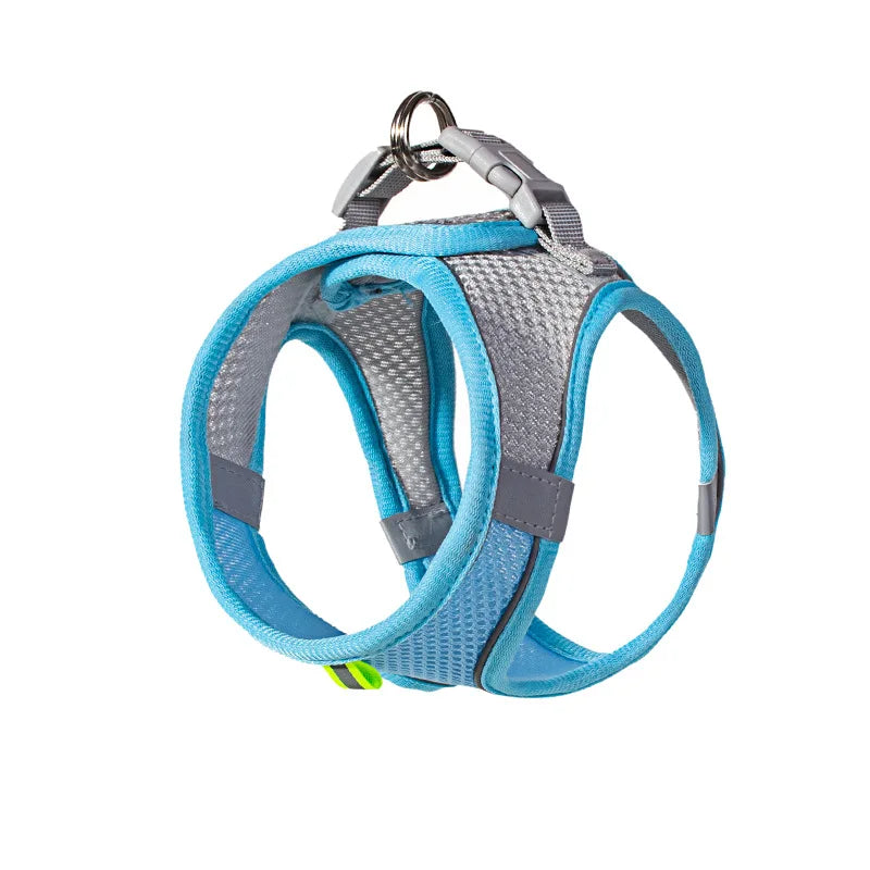 Dog harness with leash