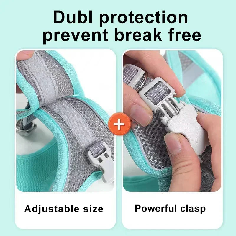 Dog harness with leash