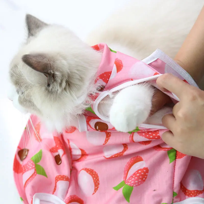 Cat anti-licking surgery recovery clothing