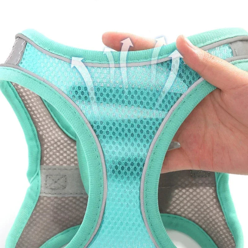 Dog harness with leash