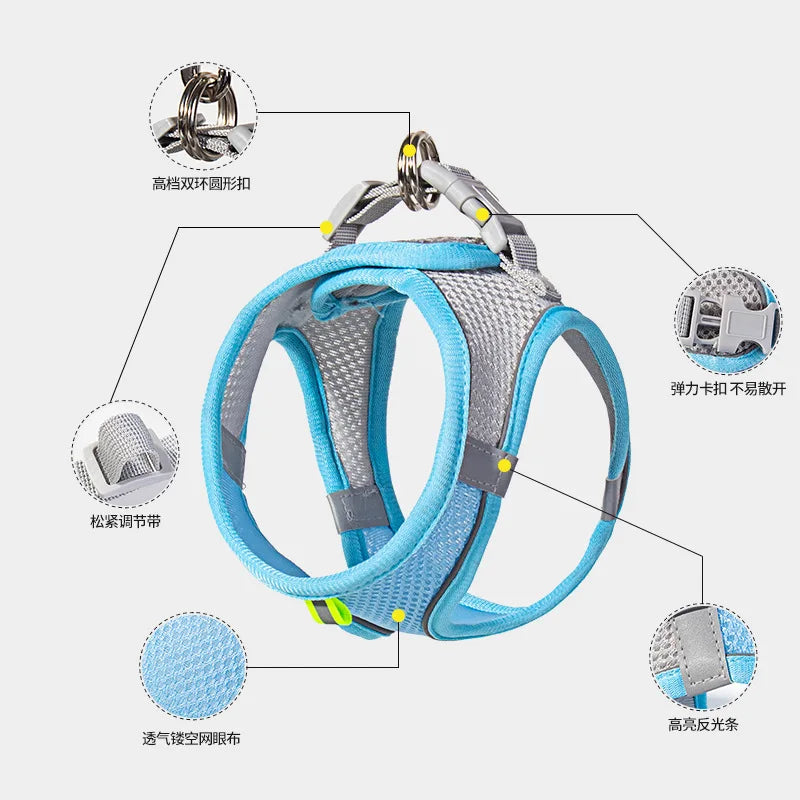 Dog harness with leash