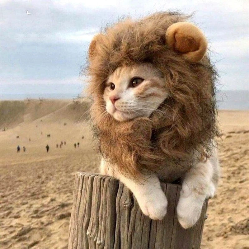 Cute lion mane cat wig