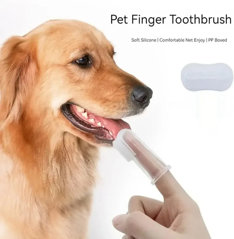 1/30pc tooth brush for pets
