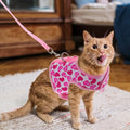 Pet Harness, Breathable