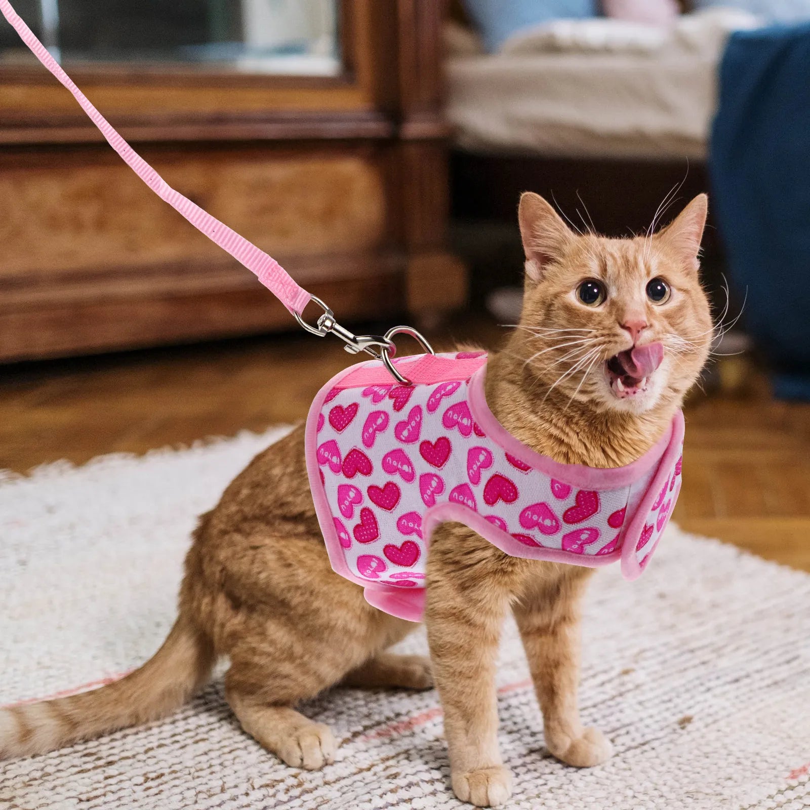 Pet Harness, Breathable