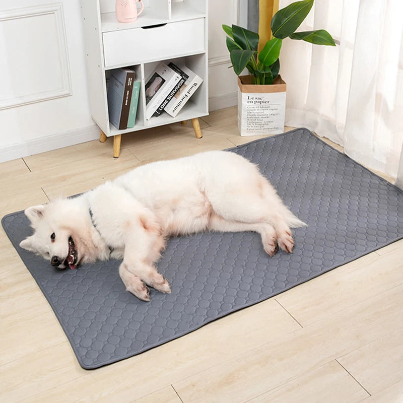 Dog training urine pads, washable, reusable, anti slip