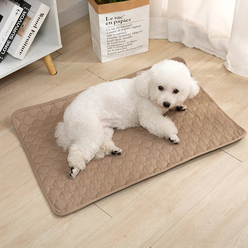 Dog training urine pads, washable, reusable, anti slip