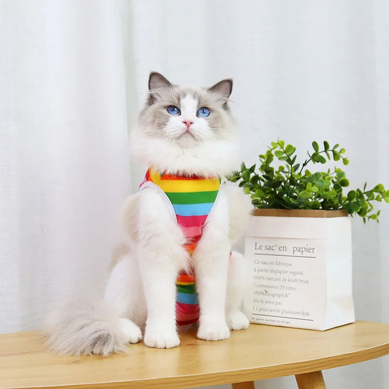 Cat anti-licking surgery recovery clothing