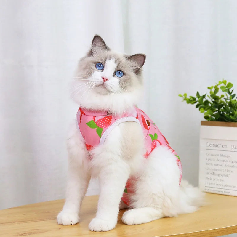 Cat anti-licking surgery recovery clothing