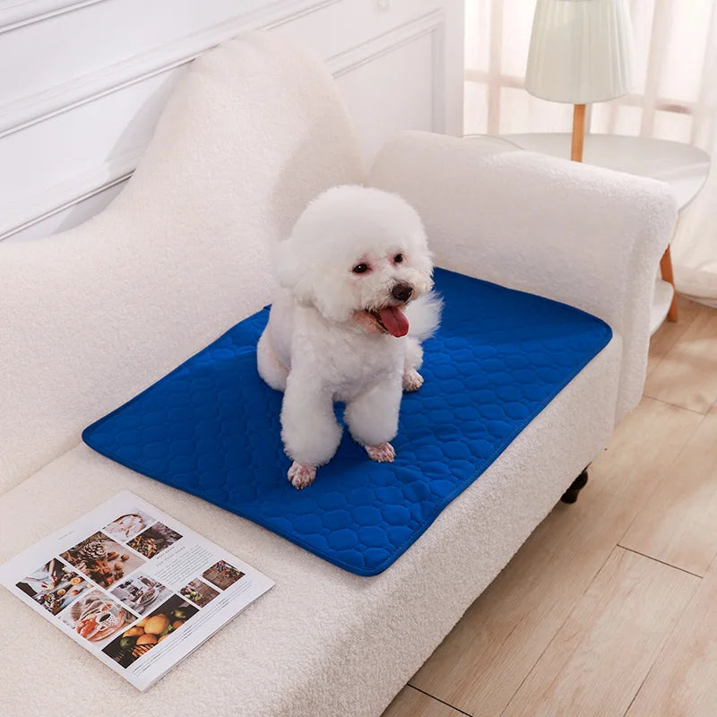 Dog training urine pads, washable, reusable, anti slip