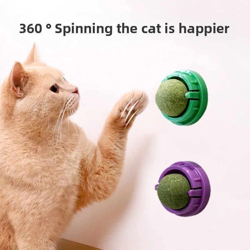 Natural catnip wall stick-on ball