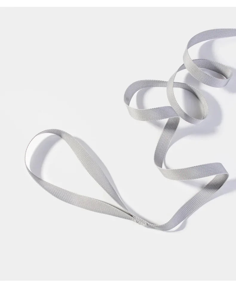 Dog harness with leash