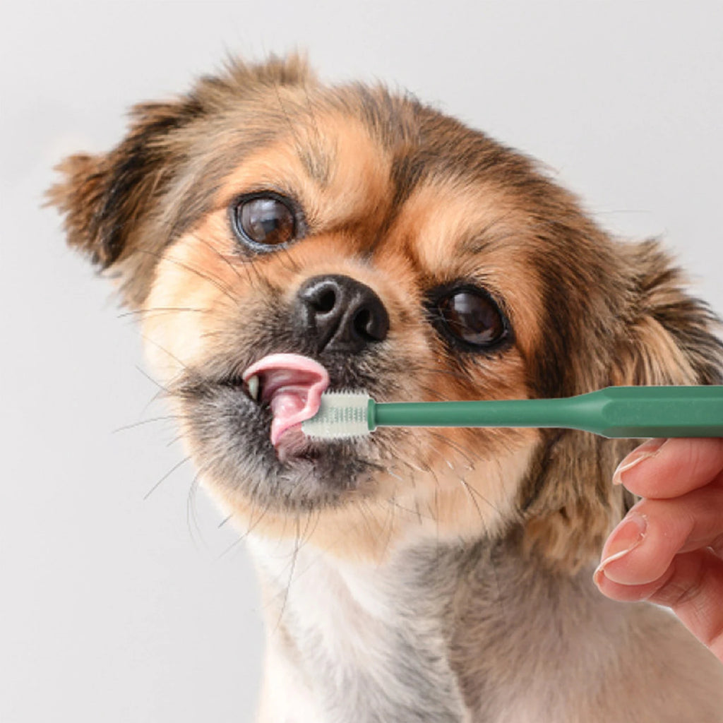 360 Degrees pet toothbrush